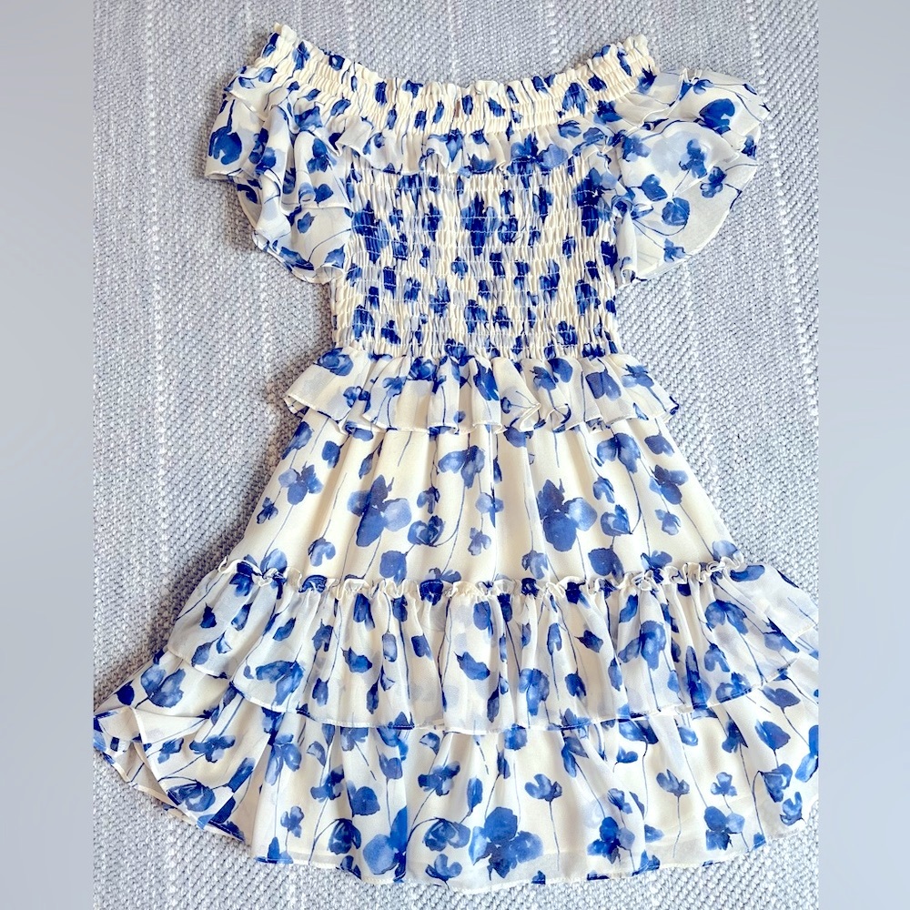 MISA Los Angeles Lilly Dress Blue Floral Size S